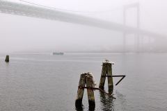 Älvsborgsbron