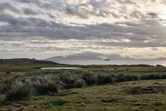 Västra Falkland, Carcass Island