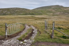 Västra Falkland, Westpoint Island