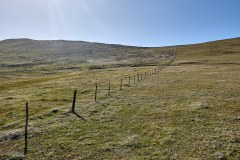Västra Falkland, Westpoint Island