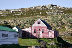 Västra Falkland, Westpoint Island