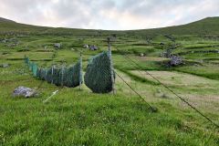 Gjógv
