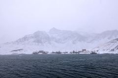 Grytviken