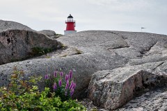 Fyren från norr