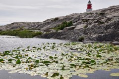 Fyren från ost