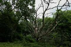 Stenshuvud nationalpark