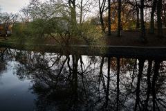 Trädgårdsföreningen