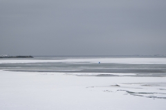 Askimsviken