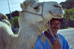 Essaouira