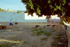 Agadir