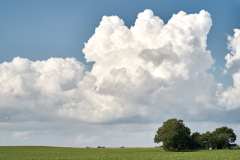 Vallby