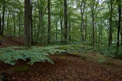 Kullaberg