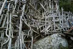 Nimis