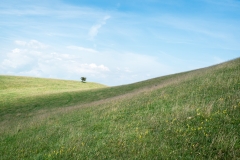 Hammars backar