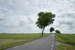 Bollerup