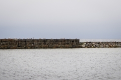 Kivik