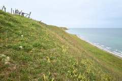 Kåseberga