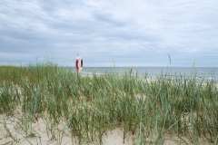 Sandhammaren