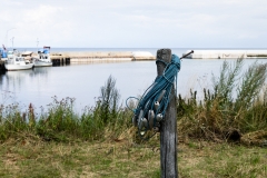 Vitemölla