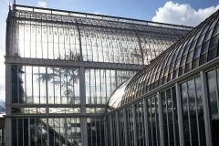 Palmhuset Palmhuset