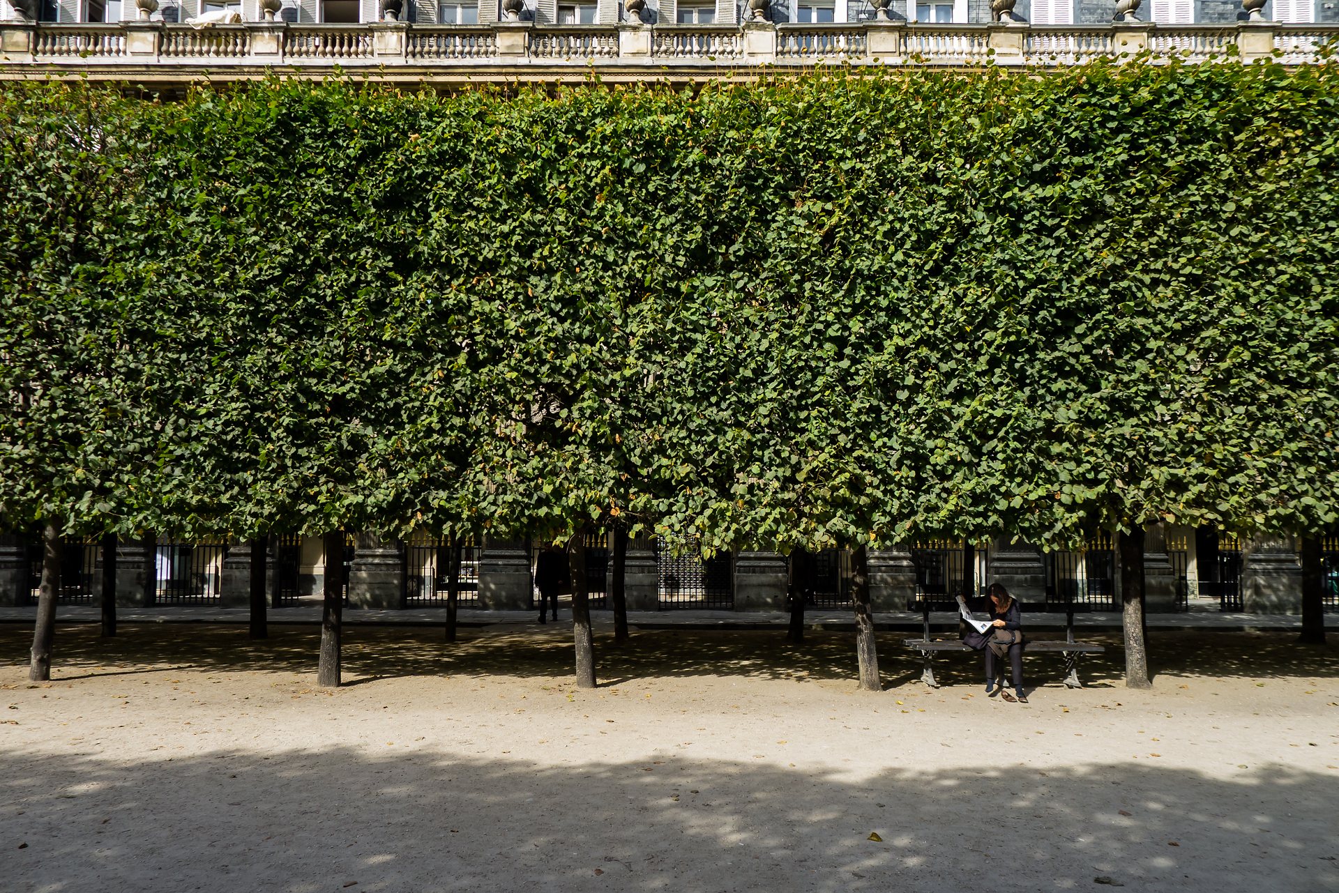 Jardin du Palais Royal, 1:er