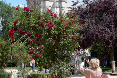 Park i 4:e arr, mittemot Notre Dame