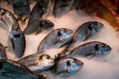 Fiskmarknad