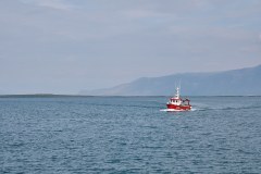 Fiskebåt