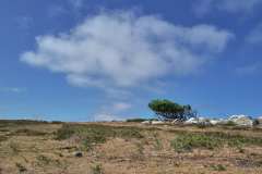 Naturreservatet