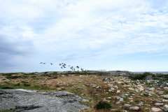 Naturreservatet