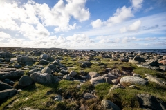 Rörö Rörö