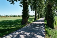 Grensholm