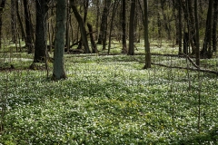April