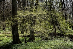 April