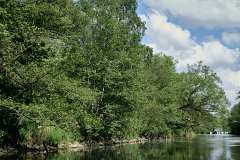 Amazonas