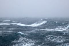 Storm