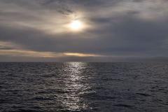 Södra oceanen