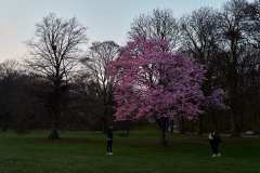 April