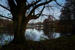 November