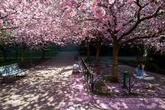 Seminarieparken