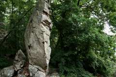 "Stenbrottet"