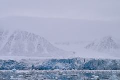 Liliehöökbreen
