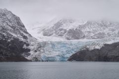 Liliehöökbreen