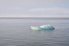 Lady Franklinfjorden