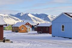 Ny Ålesund