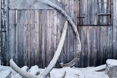 Kinnvika