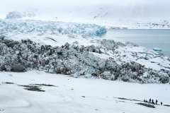14:e julibreen