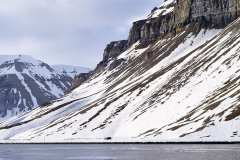 Sassenfjorden, Templet