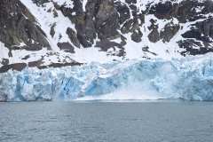 14:e julibreen kalvar