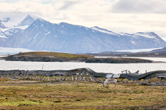 Ny Ålesund